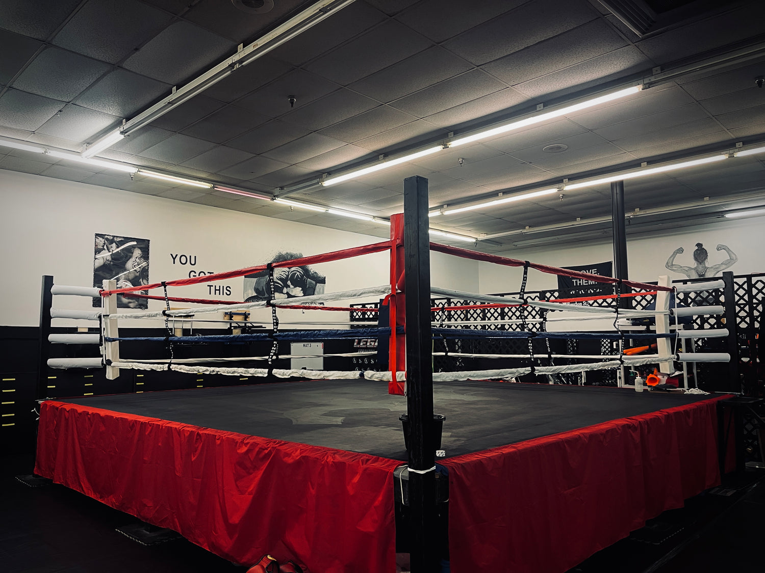 Full size boxing ring